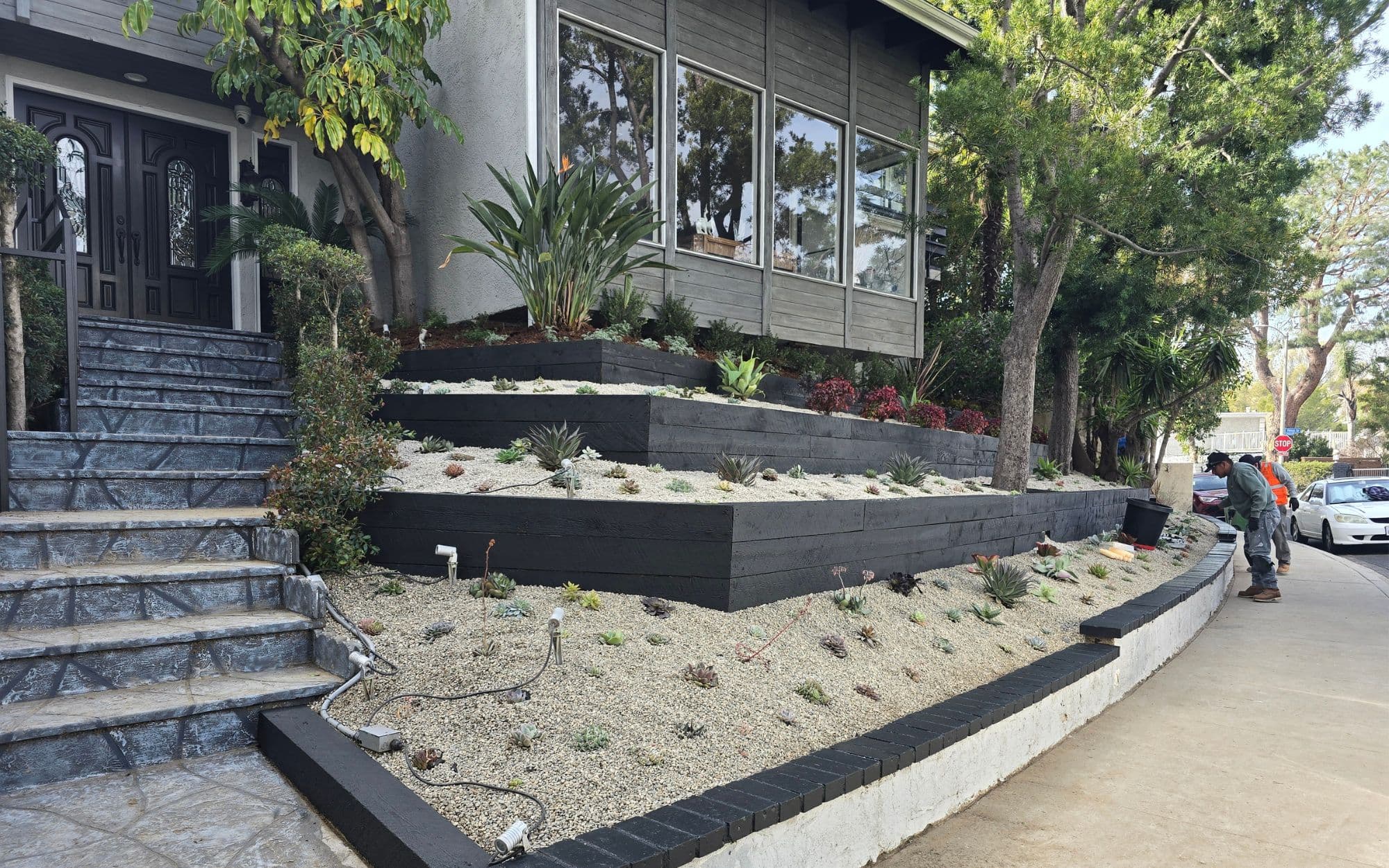 Backyard Renovations in Los Angeles by Living Colors Landscape